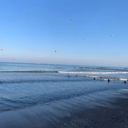 Daniel's Apartamento *